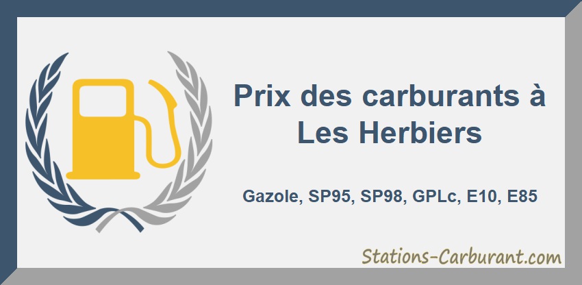 Prix Carburant Les Herbiers